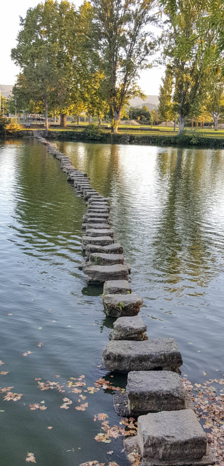 04.- 20170914_190821.jpg