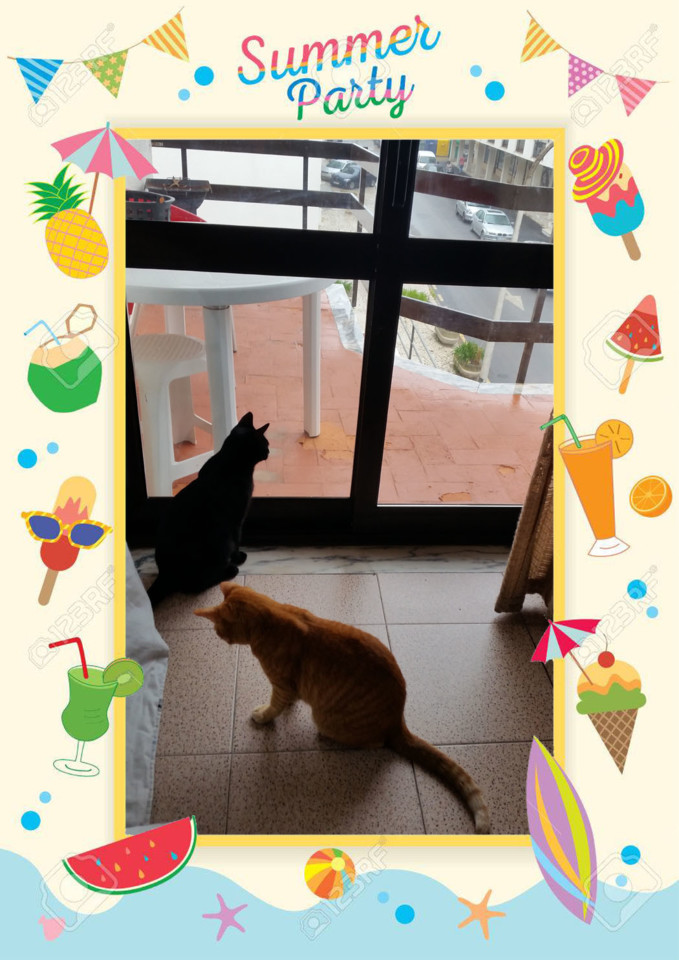 feriascats002.jpg feriascats002.jpg