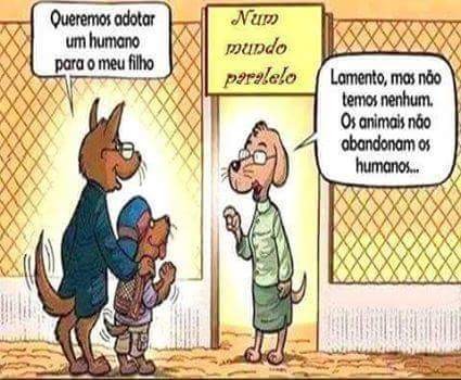 Blogue 5 Set 2015 1.jpg