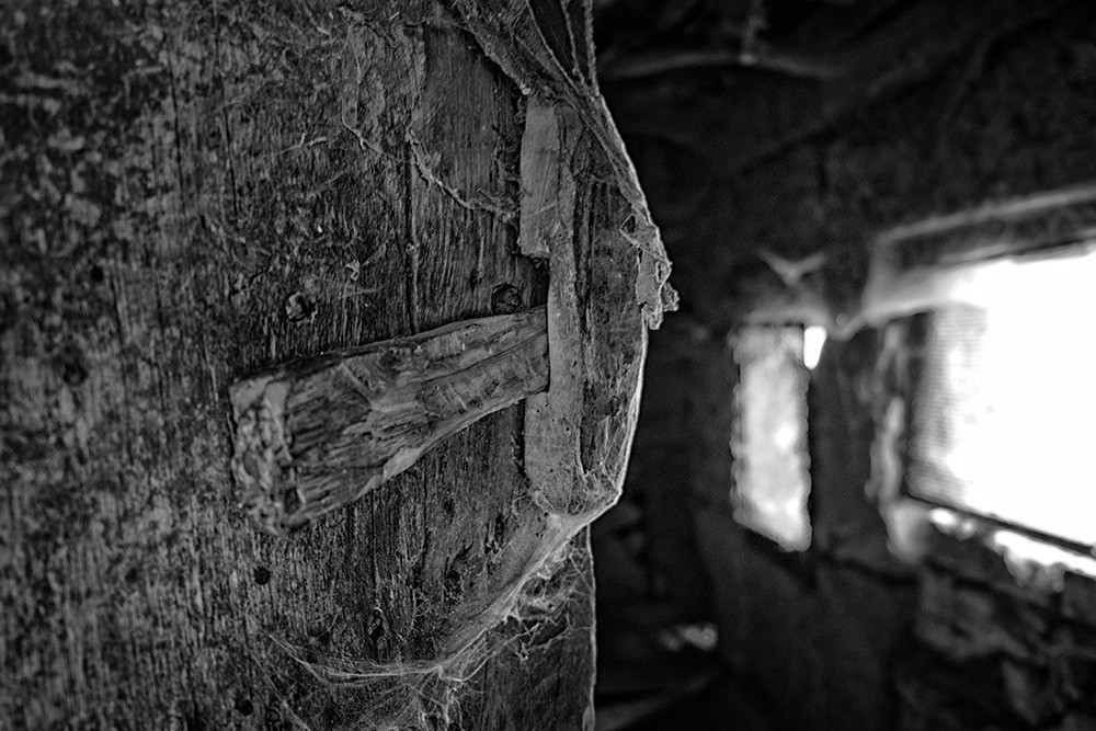 DSCF7666 - Cópia.jpg DSCF7666 - Cópia.jpg