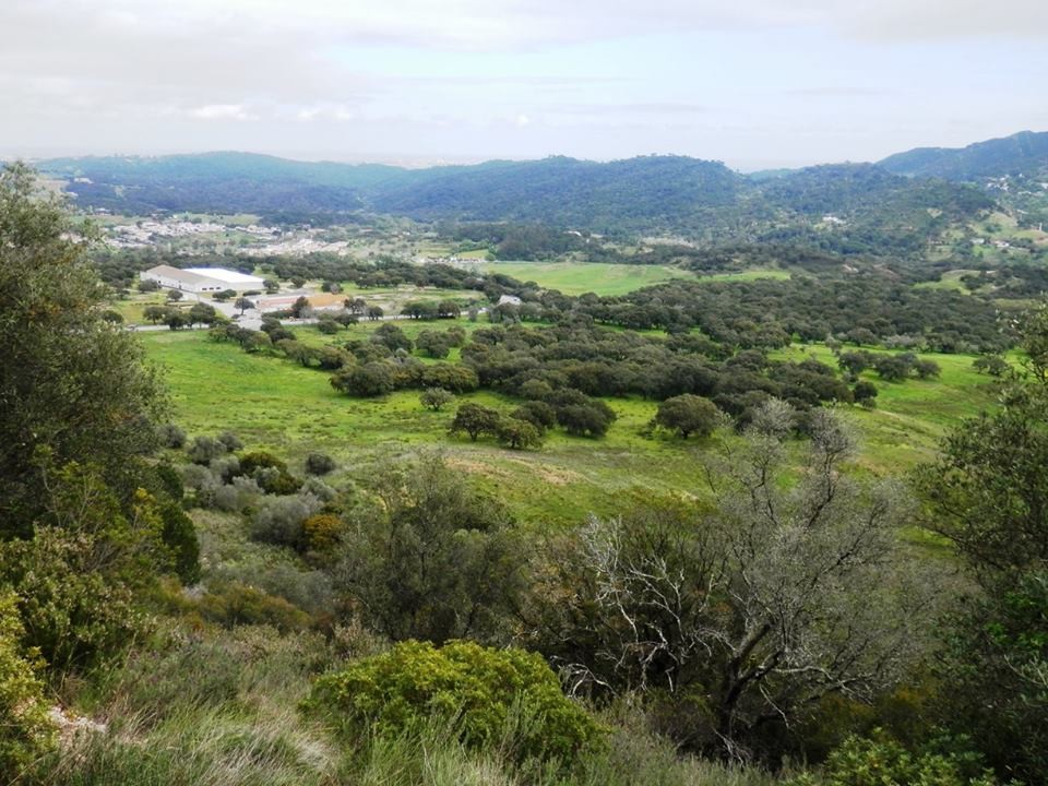 12924625_1154042114607378_3762878622557850059_n.jp 12924625_1154042114607378_3762878622557850059_n.jp