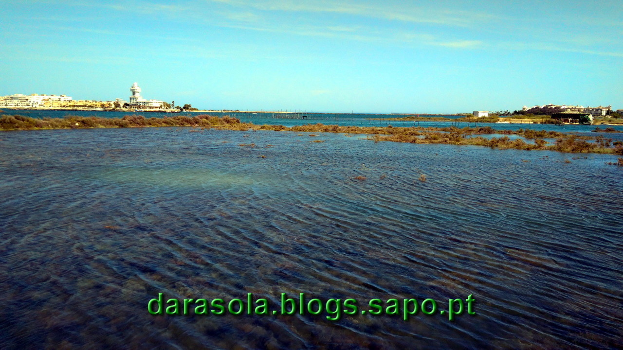 Maresmas_Isla_Canela_22.jpg Maresmas_Isla_Canela_22.jpg