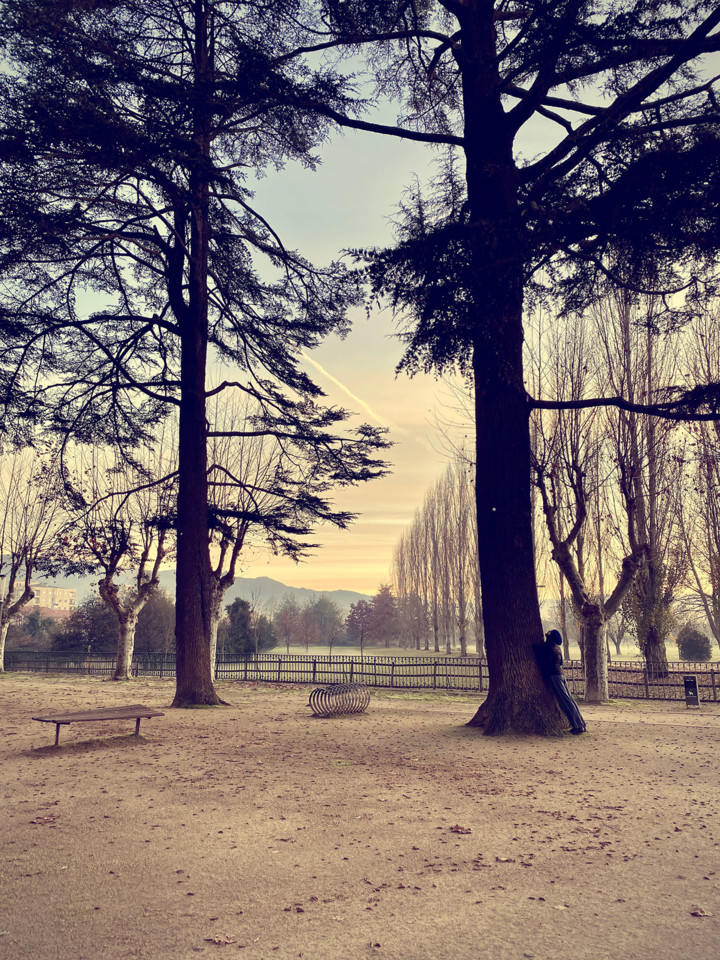 IMG_3410 - cópia.jpg