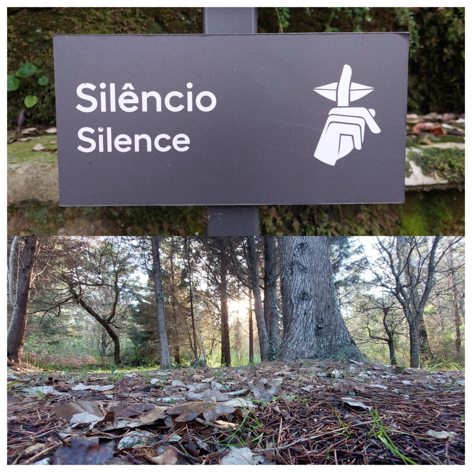 Blank 2 Grids Collage.png