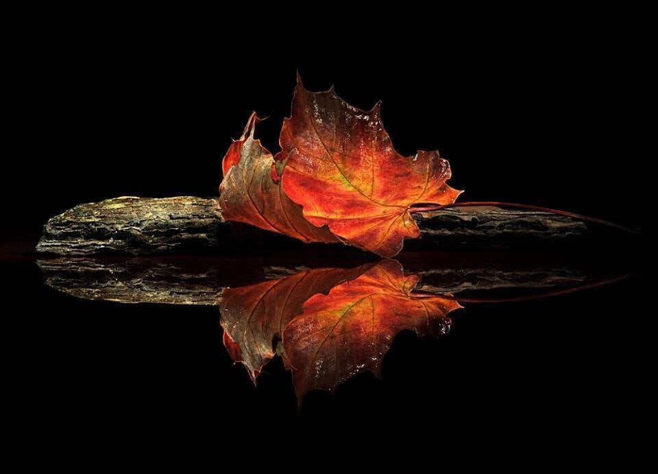 232643228_4199153153505885_5576821771701931629_n.j