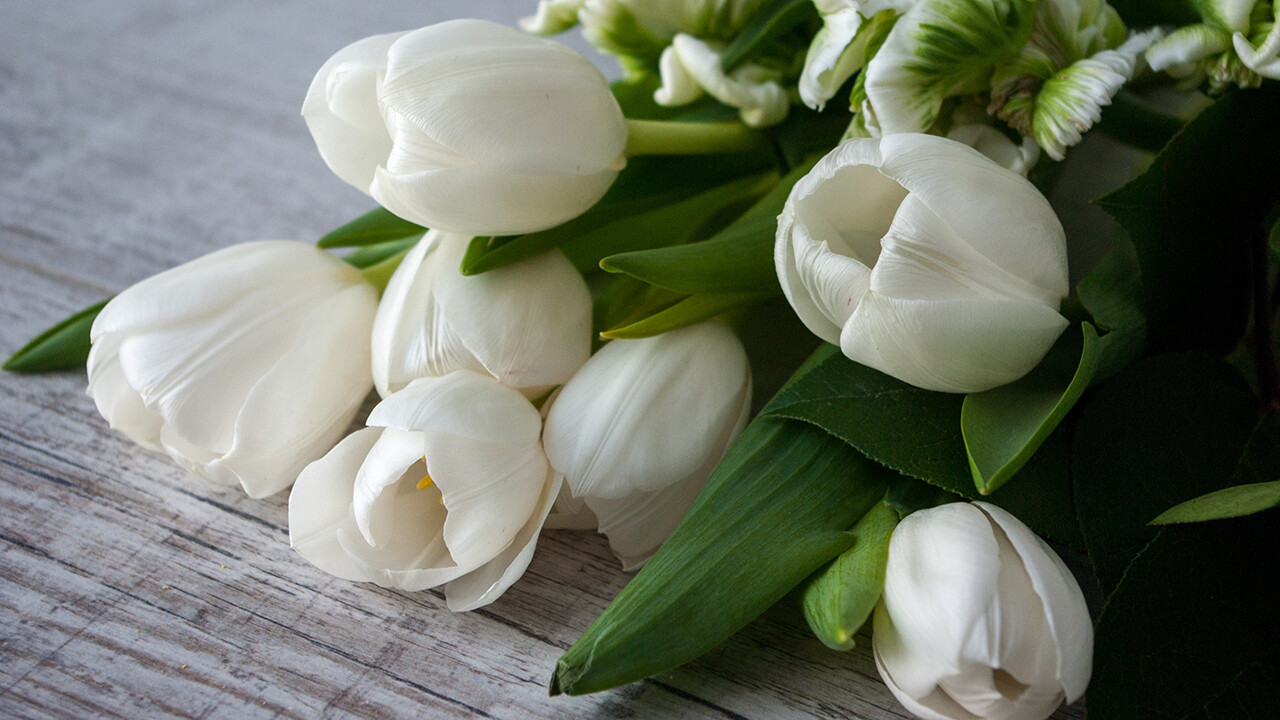 © Dagmara Dombrovska