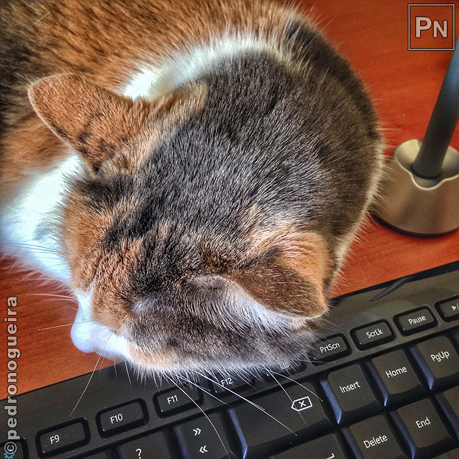 Jun_2017_611a 650px.jpg