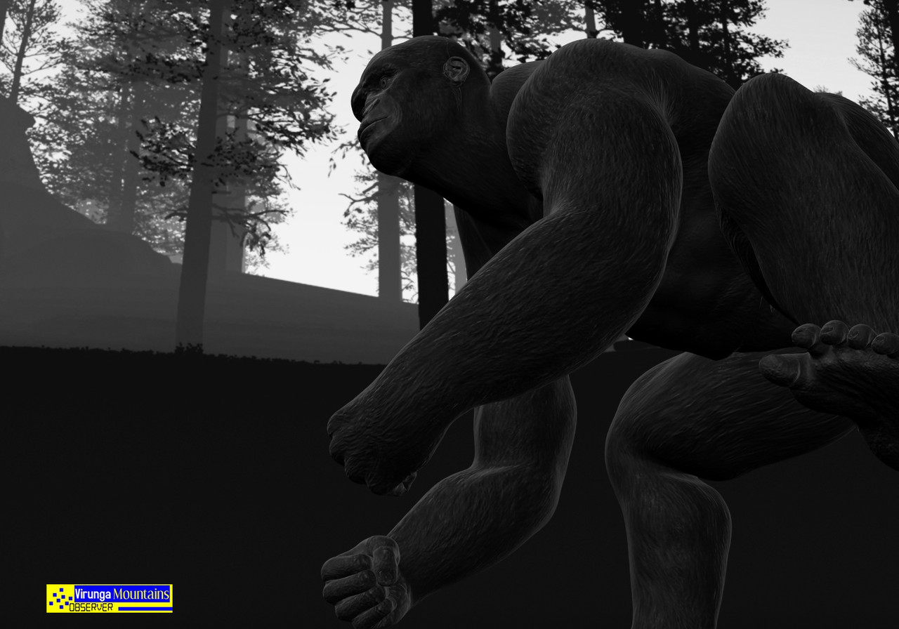 Joram Jojo Joram Jojo