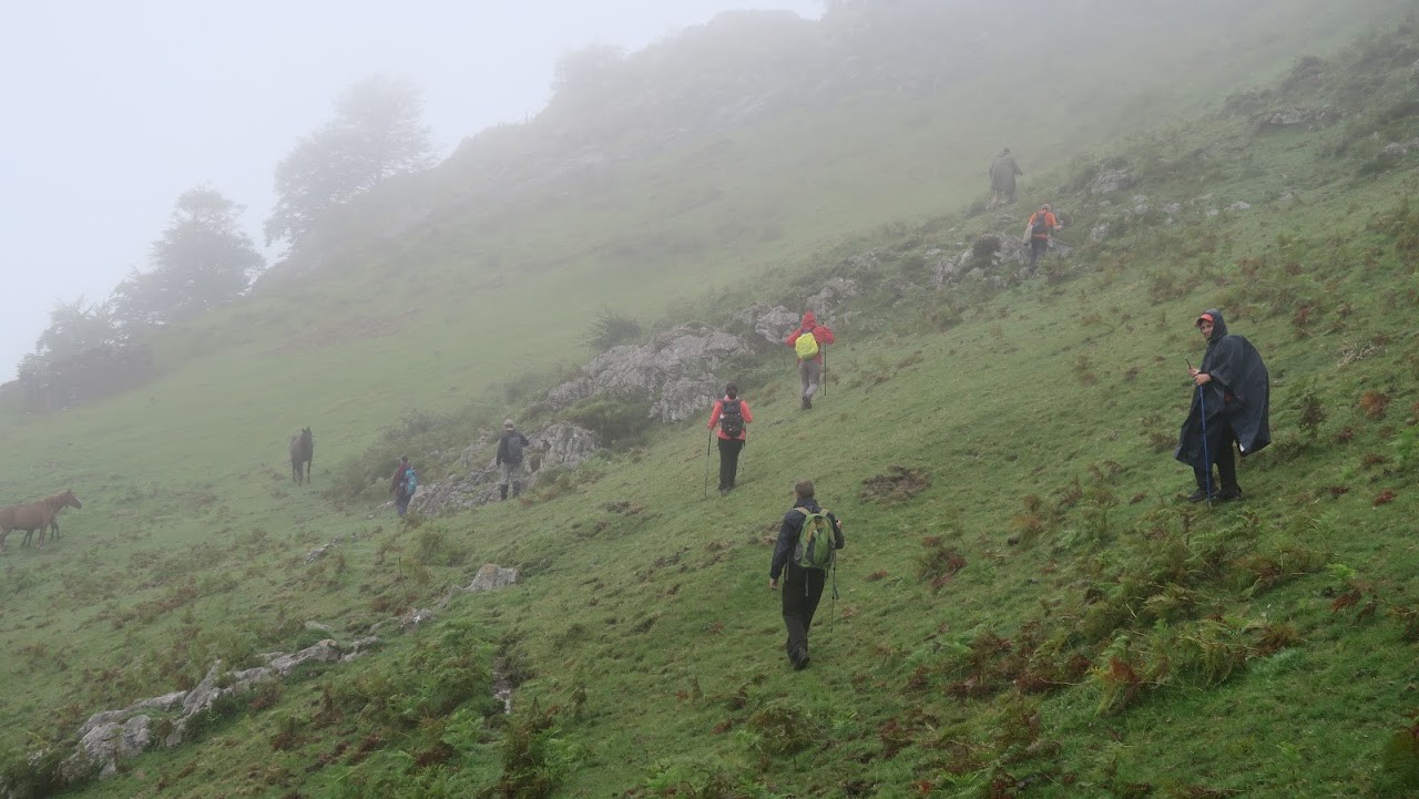 IMG_0074.JPG IMG_0074.JPG