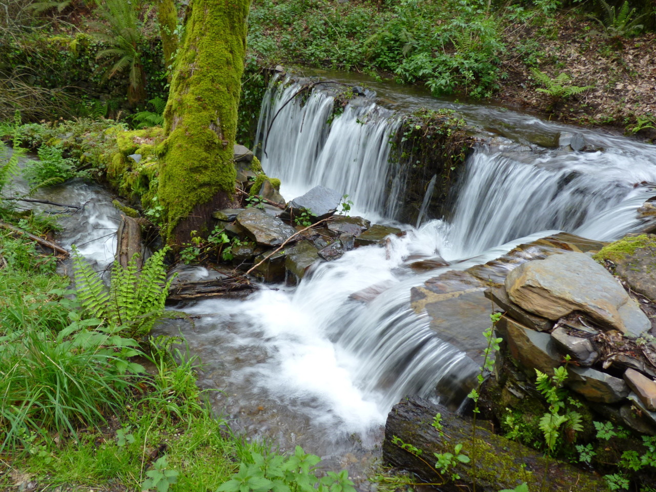 Lousã (19).JPG Lousã (19).JPG