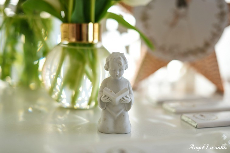 Angel Luzinha Fotografia-9032_BLOG.jpg