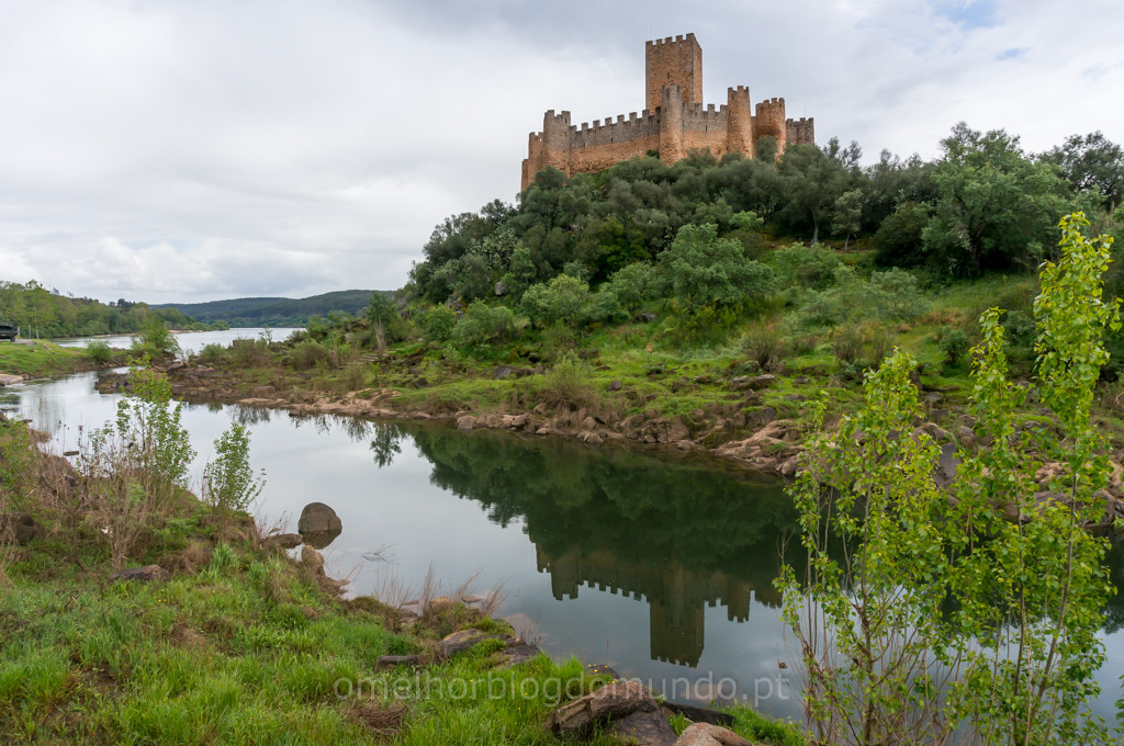 _DSC6698.jpg _DSC6698.jpg