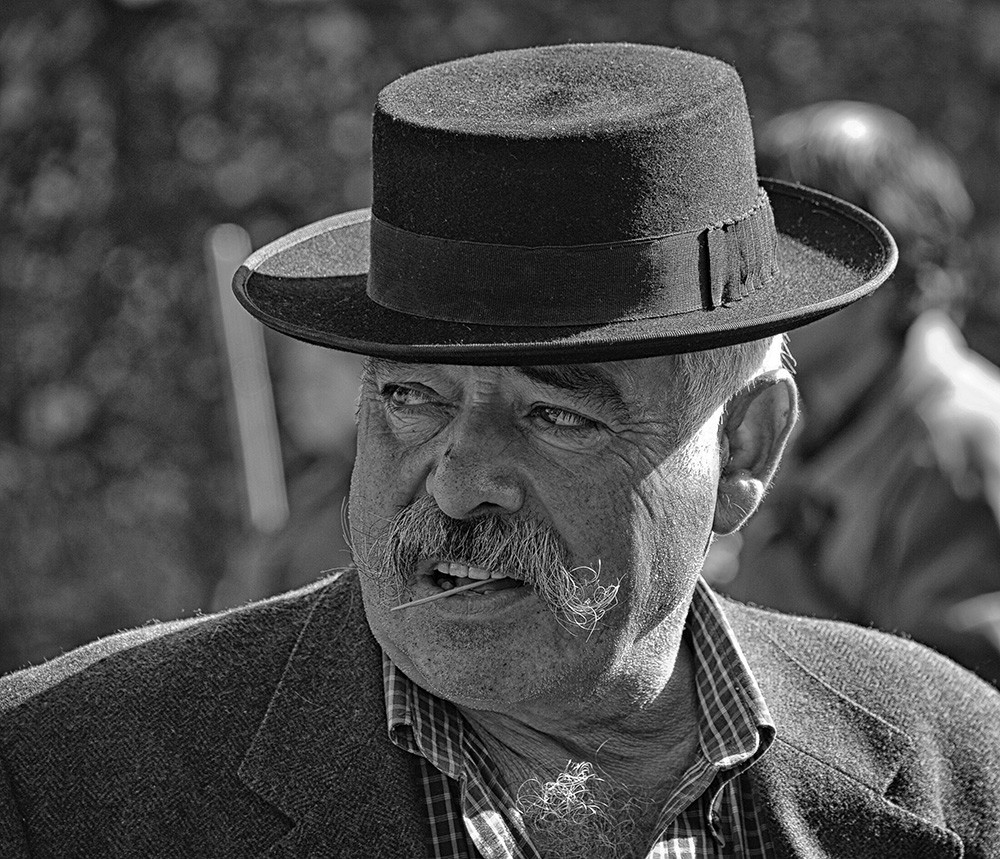 _JMD8491 - Cópia - Cópia.JPG _JMD8491 - Cópia - Cópia.JPG