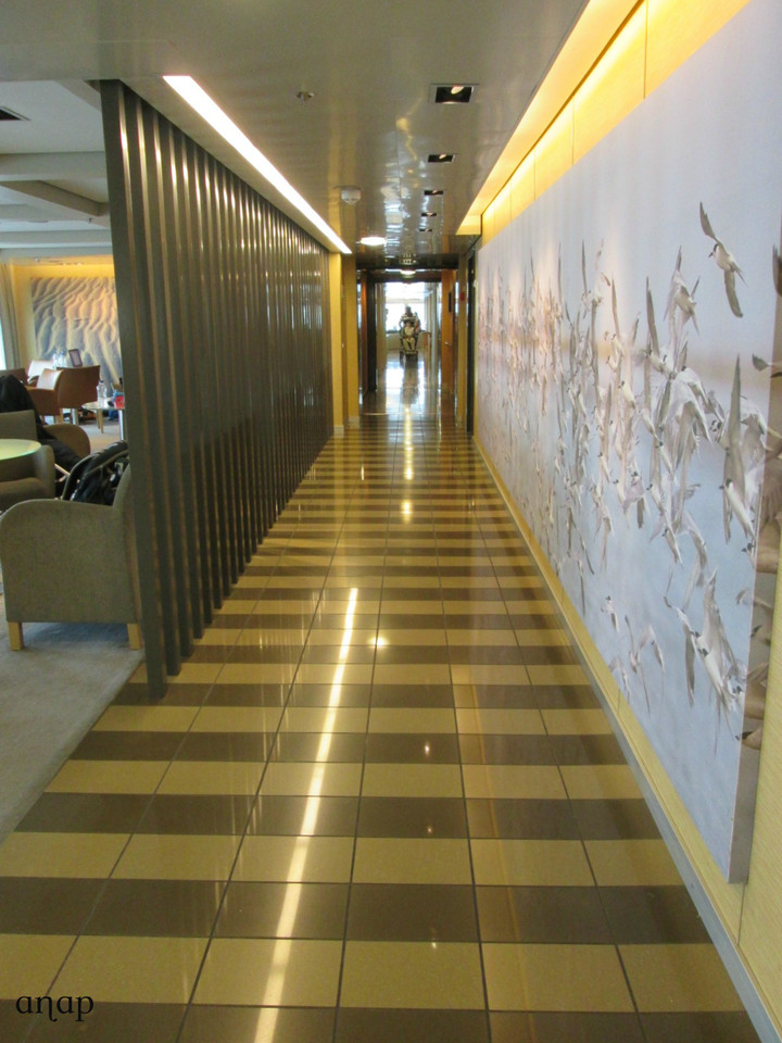 IMG_9111 cópia assin.jpg