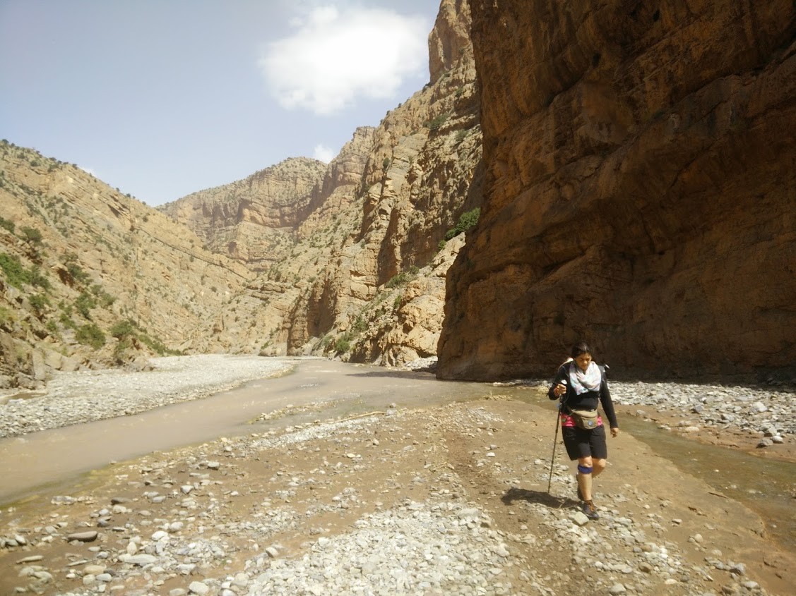 IMG_20170621_095730.jpg IMG_20170621_095730.jpg