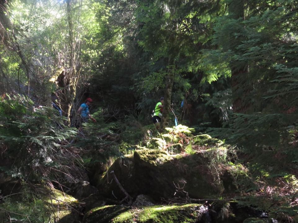 13512233_1234052959945778_8276540060654861870_n.jp