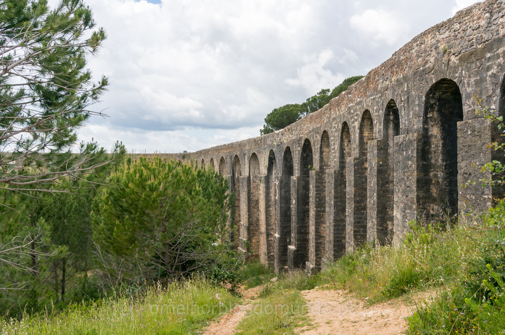 _DSC7302.jpg _DSC7302.jpg