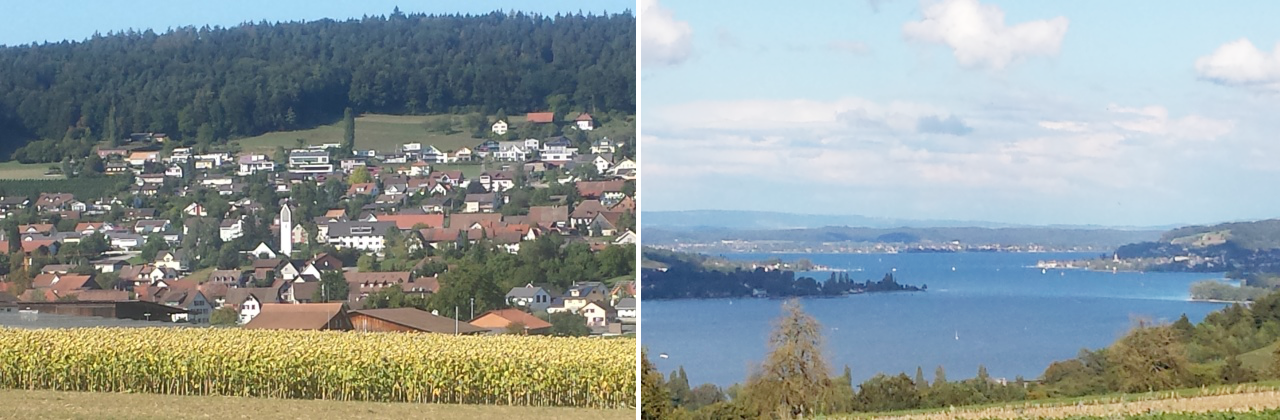 Fotos João Filipe.png