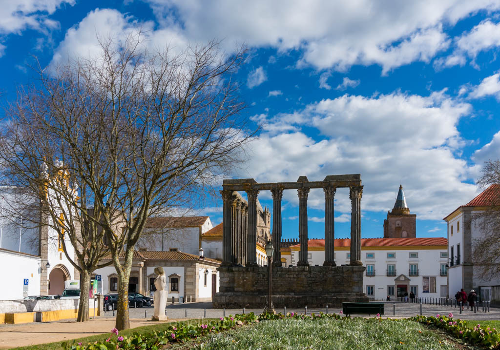 DSC00655.jpg DSC00655.jpg