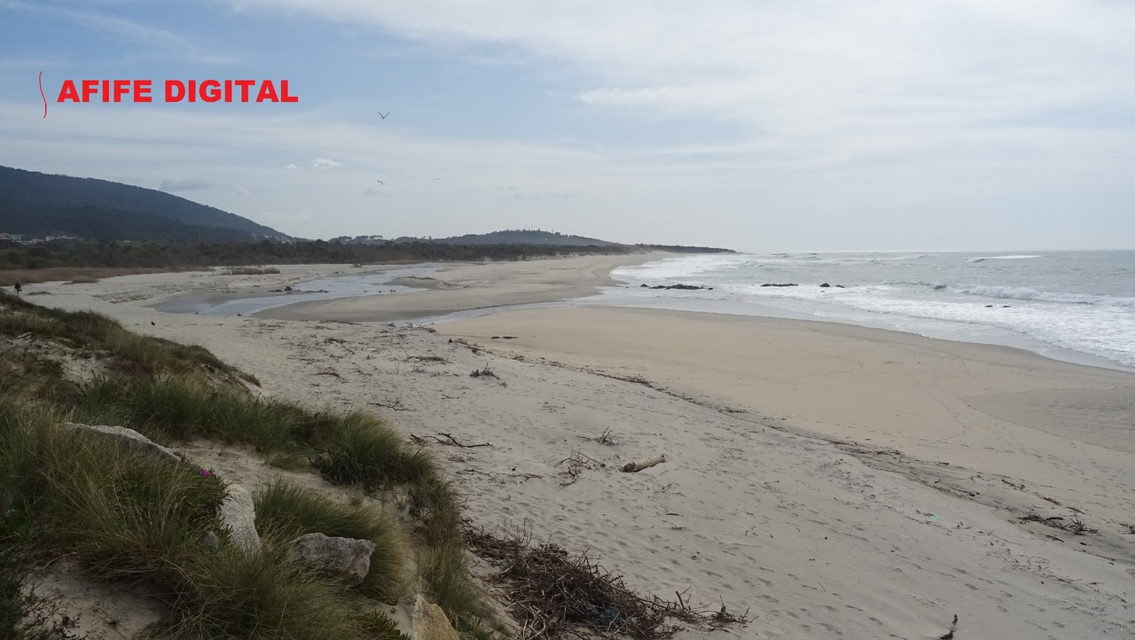 DSC00600.JPG DSC00600.JPG