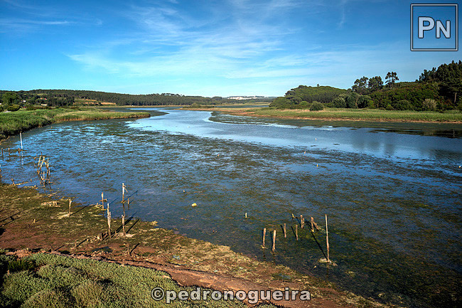 M2_Mai_2021_007_009 3_2 650px.jpg