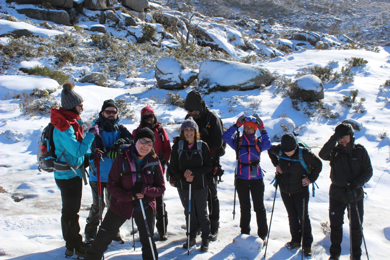 IMG_2951.JPG IMG_2951.JPG