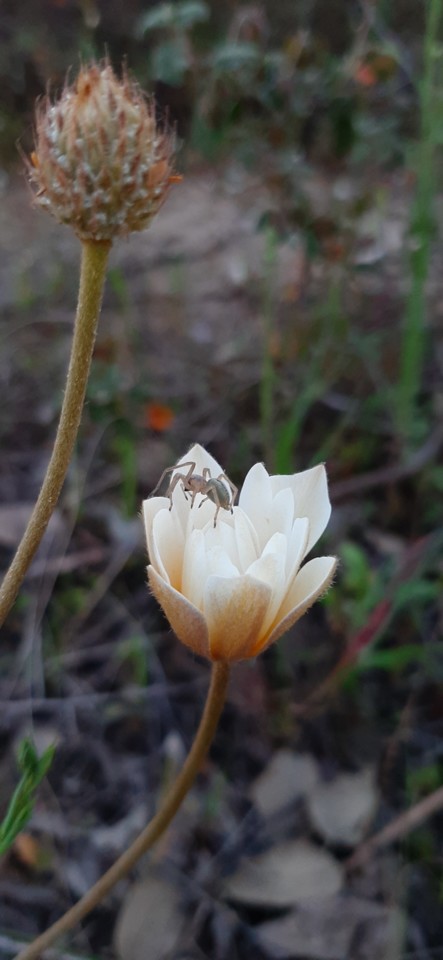 20210317_184309.jpg 20210317_184309.jpg