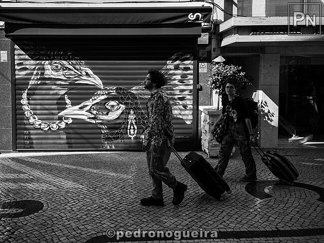 Jul_2023_025 650px.jpg