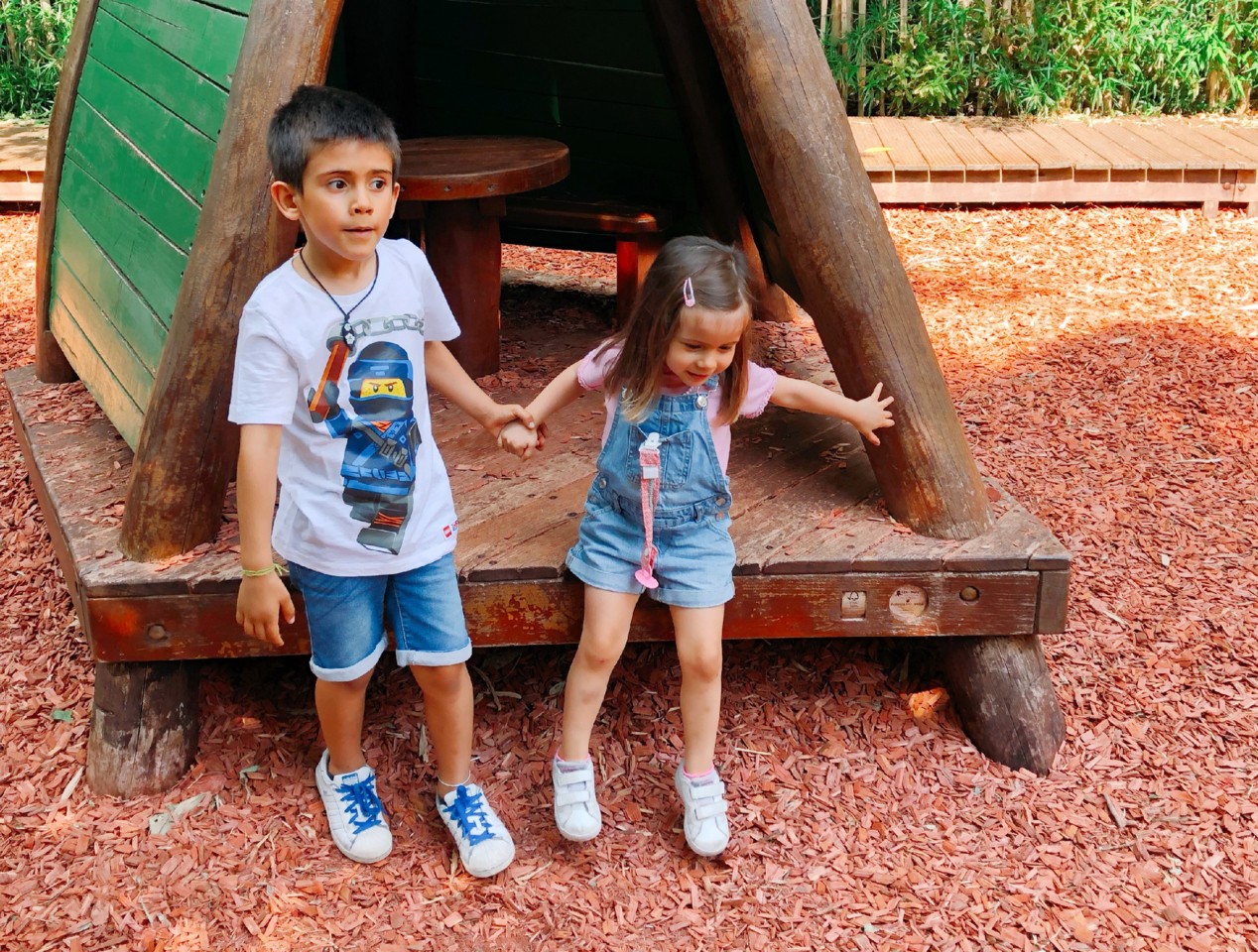 dão-se bem ou são irmãos