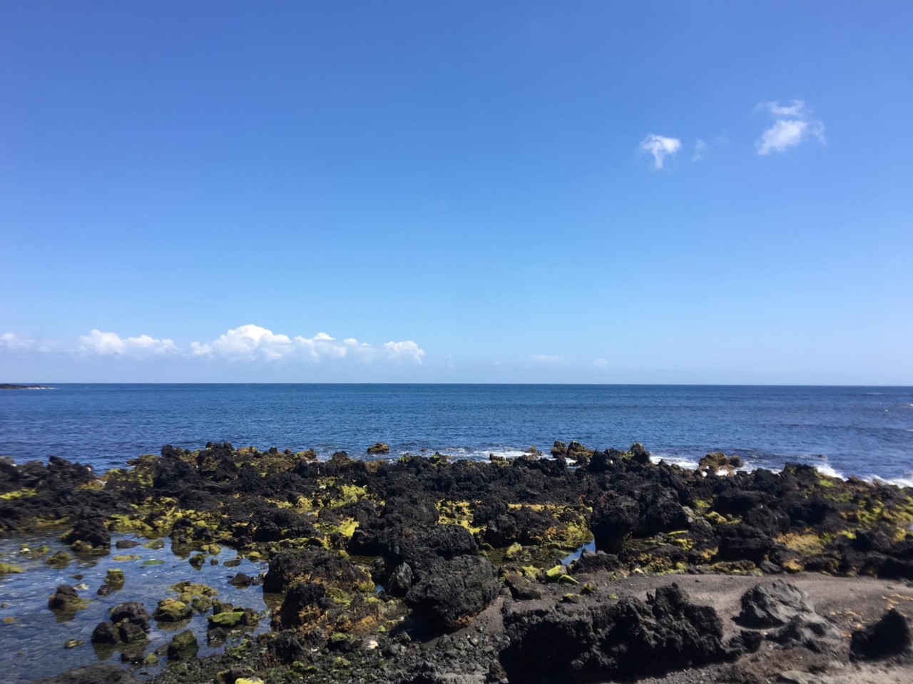 Foto Cronica 149DI ABR22 - Um dos nossos.jpg