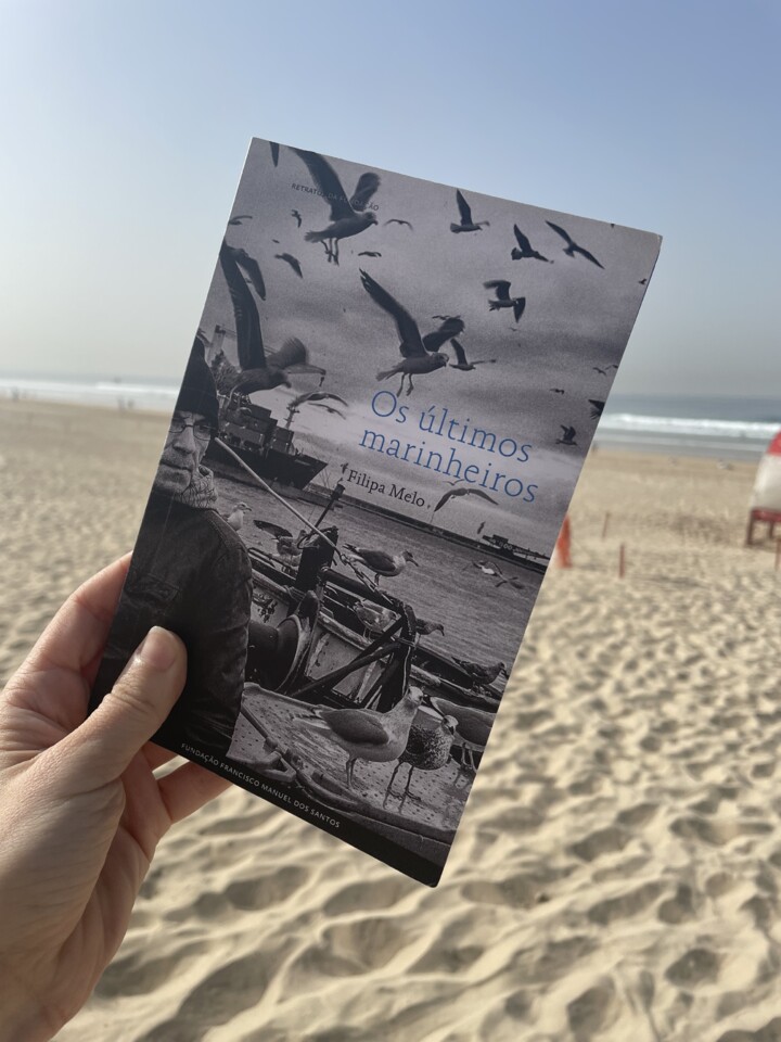 os ultimos marinheiros.jpg