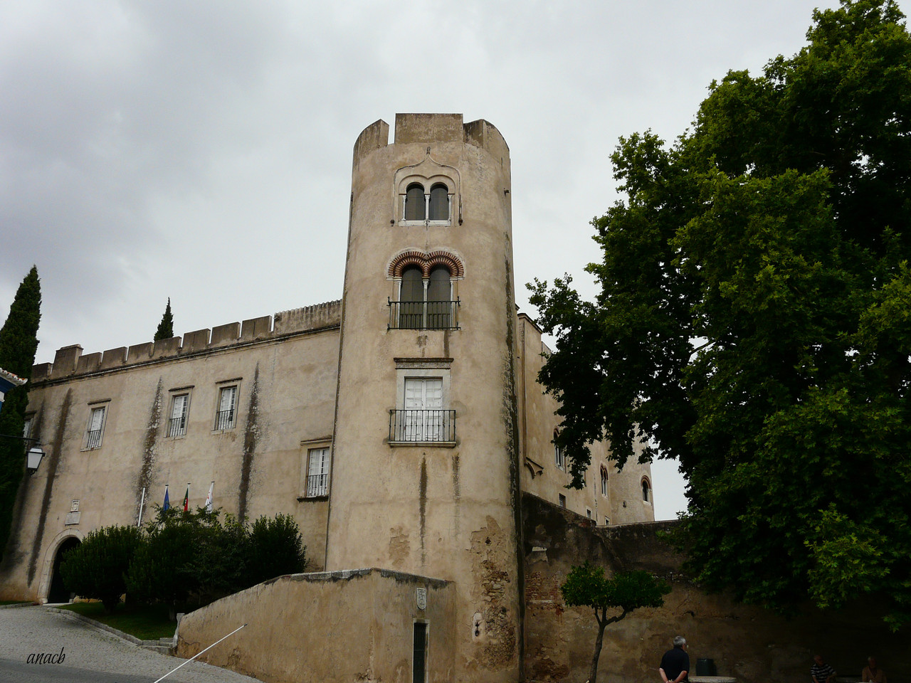 Alvito (597) assin.jpg