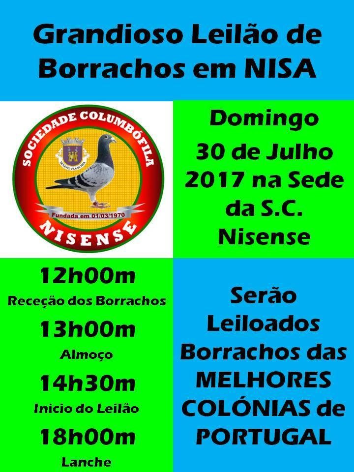 Leilão Nisa.jpg