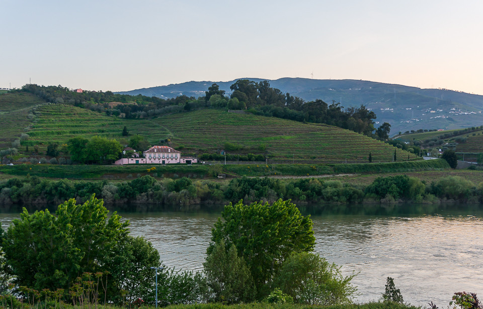 DSC02245.jpg DSC02245.jpg