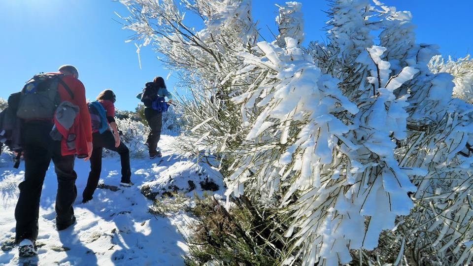 26993935_1833599059984521_6674106903585838436_n.jp