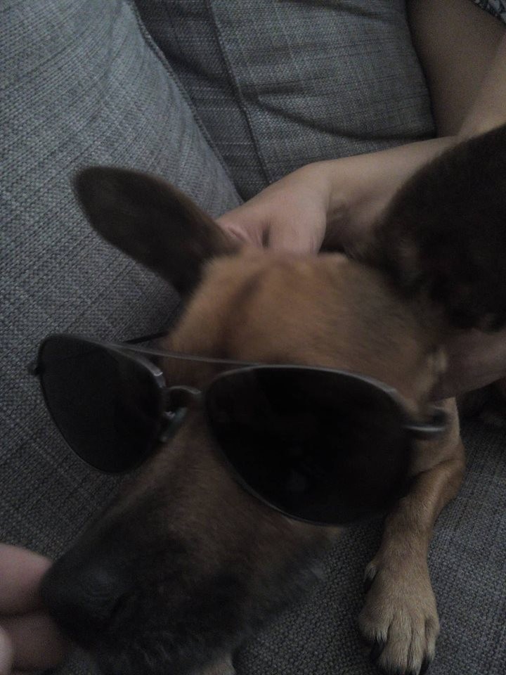 óculos.jpg óculos.jpg