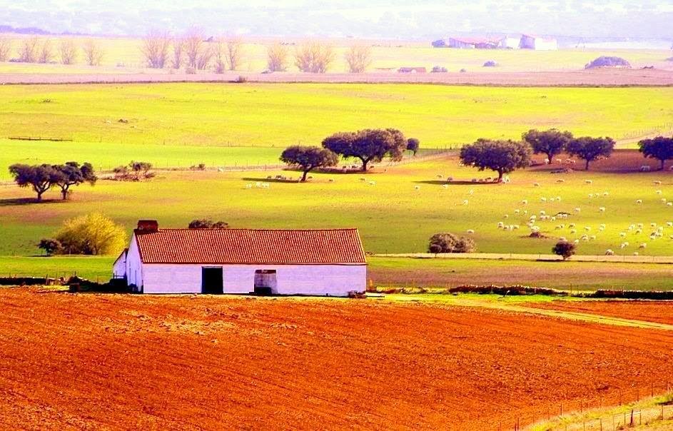 alentejo9393.jpg