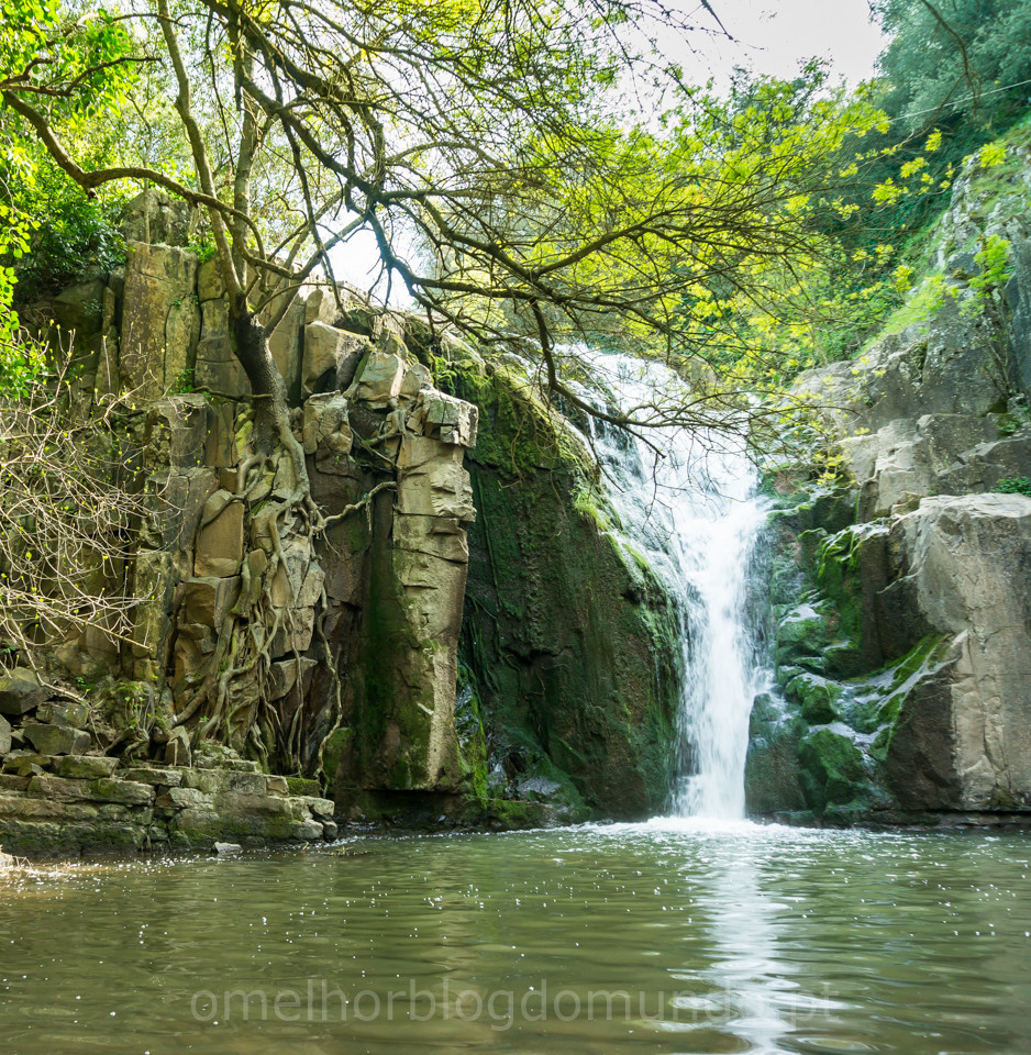 DSC08555.jpg DSC08555.jpg