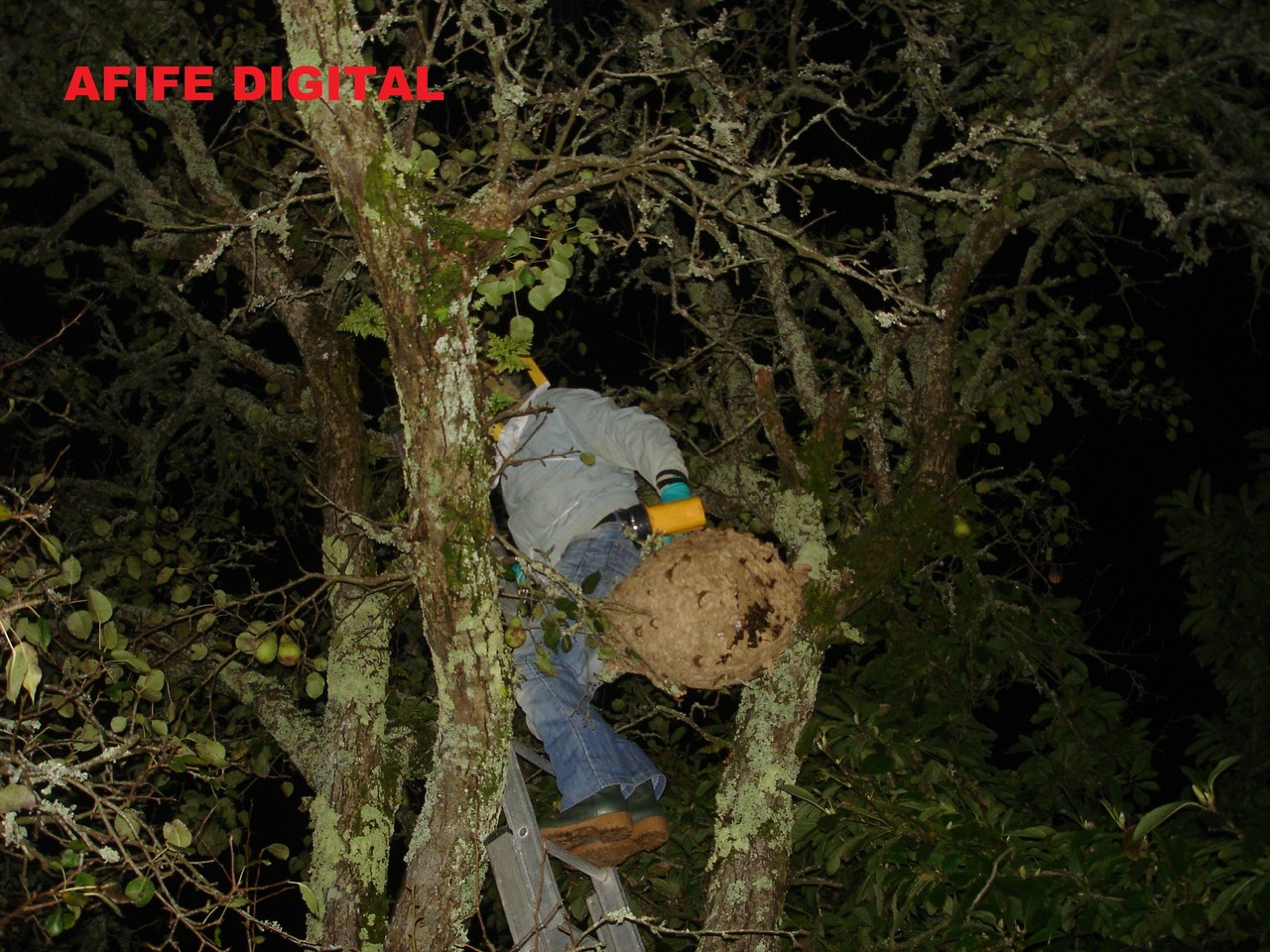 DSC00321.JPG DSC00321.JPG