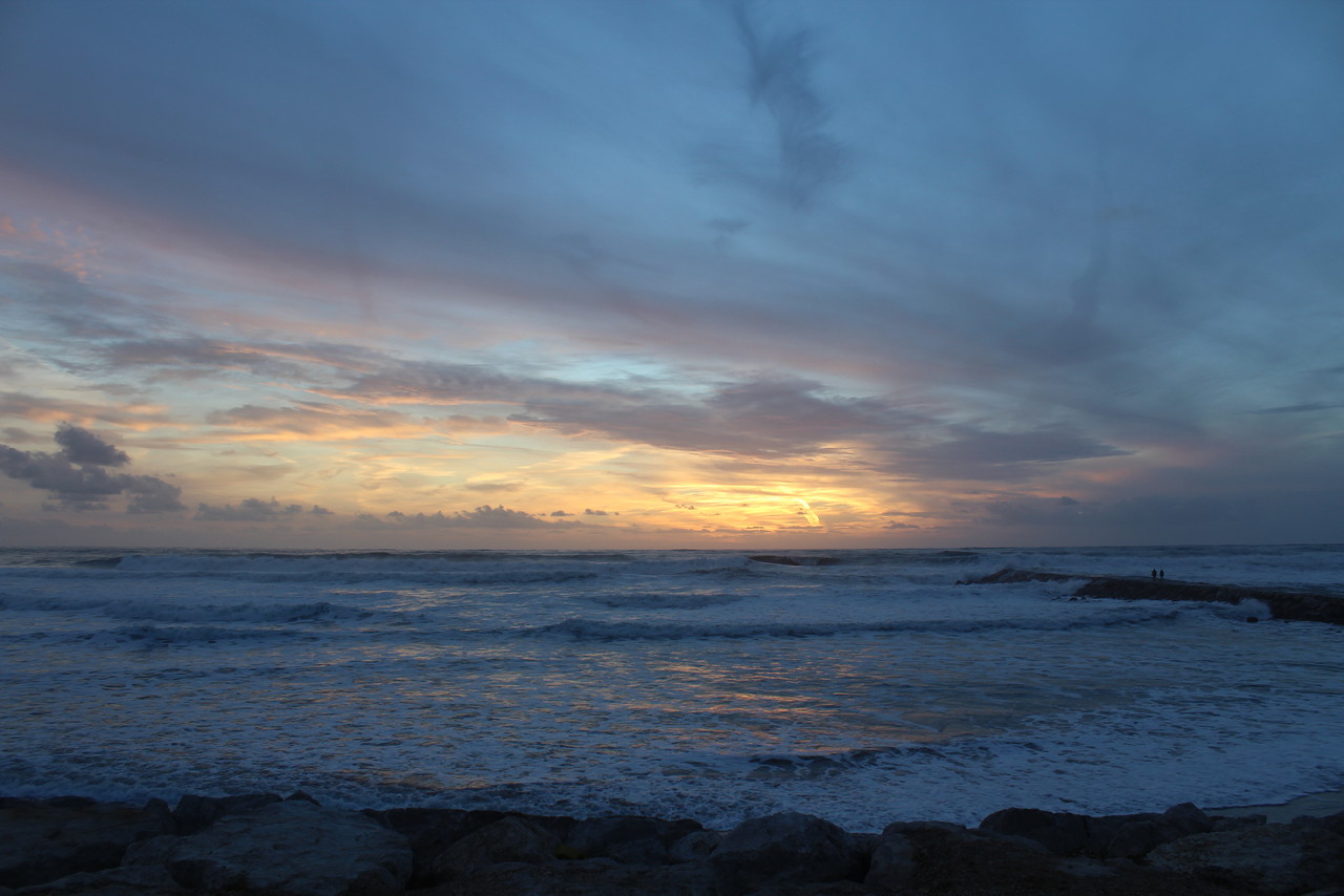 IMG_0350.JPG IMG_0350.JPG