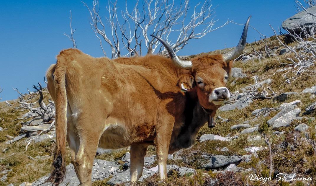 20160314-DSCN3061 20160314-DSCN3061