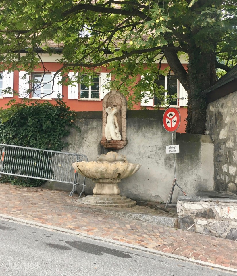 IMG_6361.jpg IMG_6361.jpg