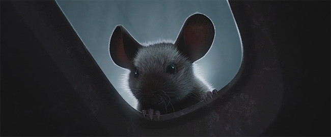 Mice a small story.jpg