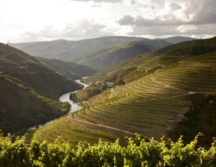 the_yeatman_hotel_douro_valley_landscape_969176844