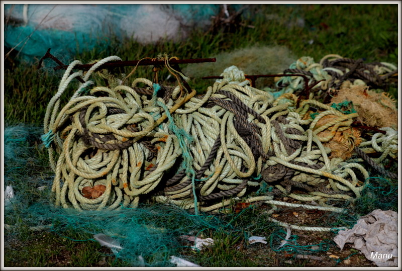 IMG_4427.JPG IMG_4427.JPG