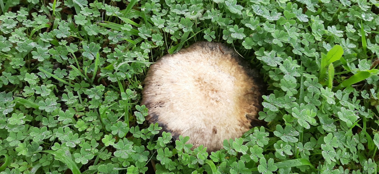 20191223_093115.jpg 20191223_093115.jpg