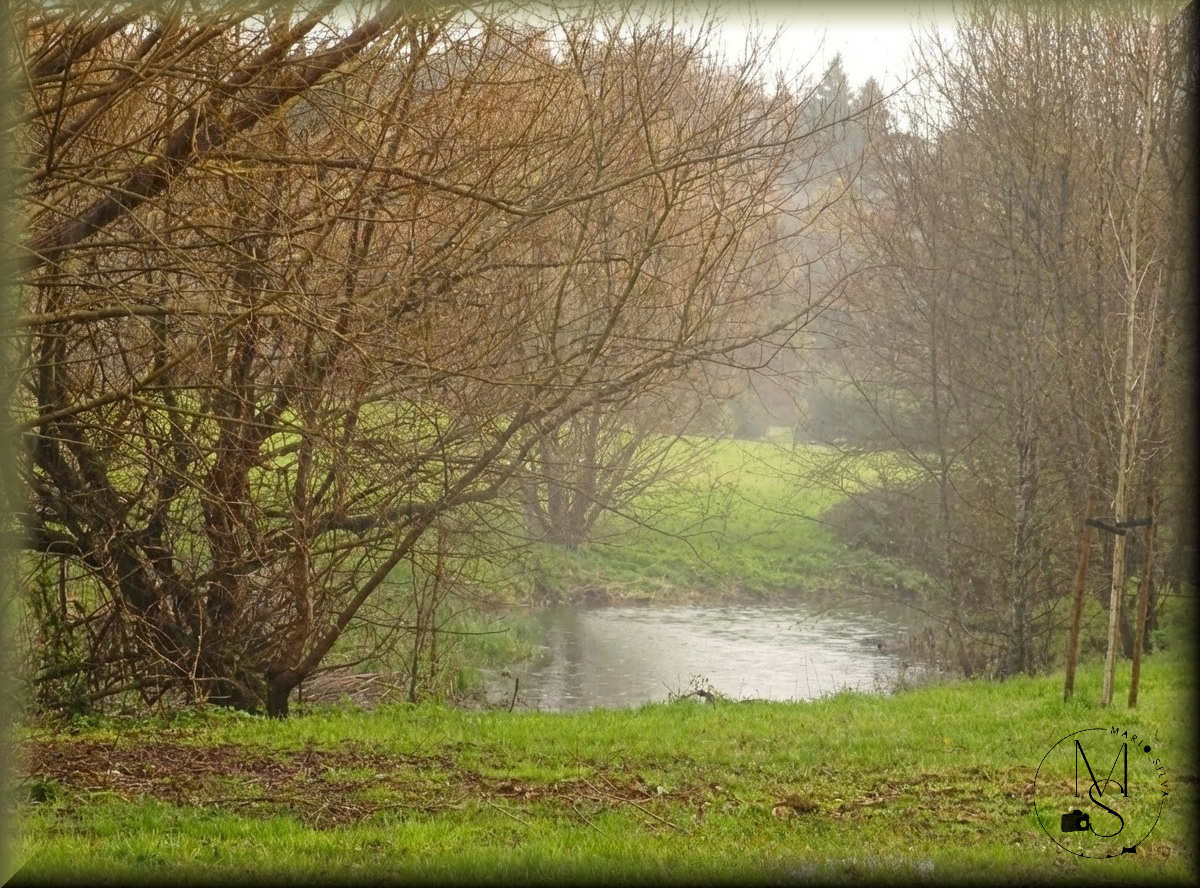 09Fev s2w7sus2w7sus2w7_ms.jpg