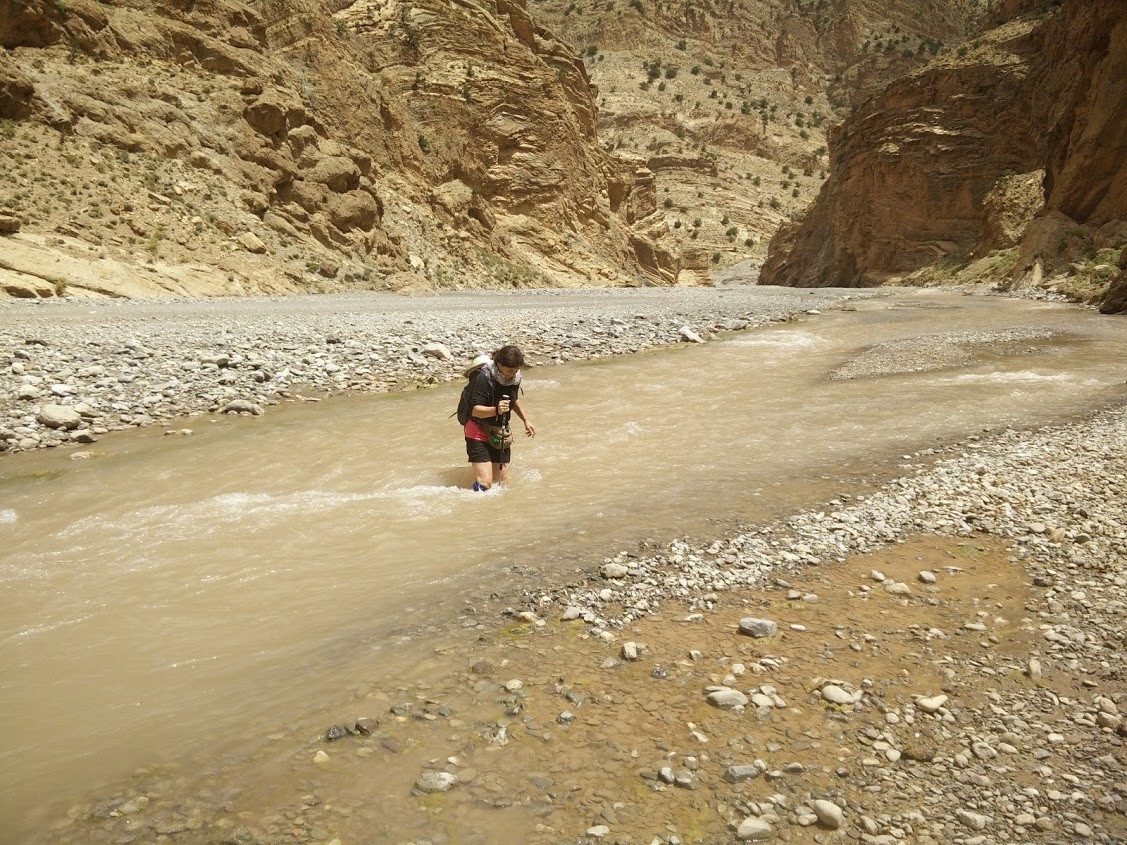 IMG_20170621_105845.jpg IMG_20170621_105845.jpg