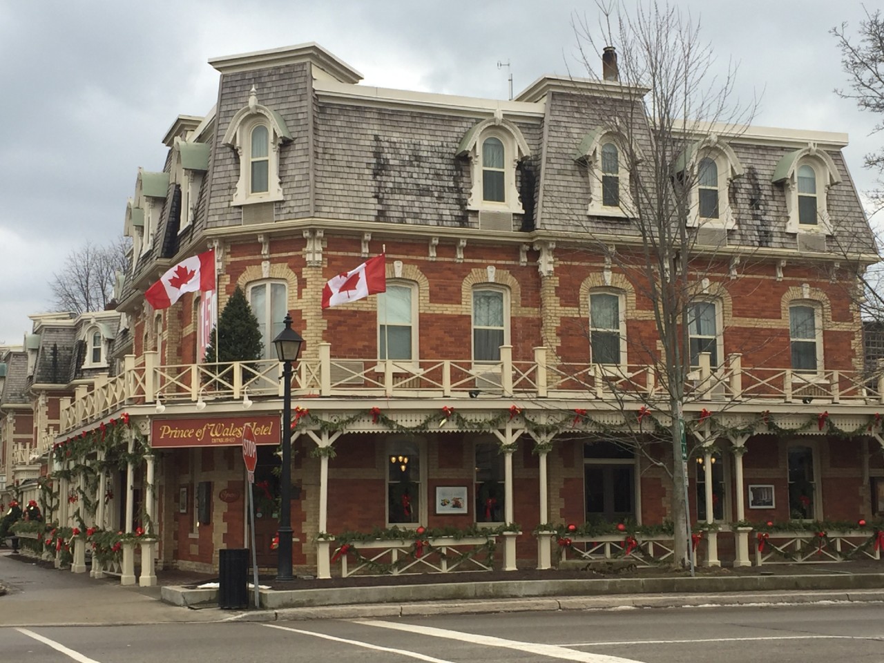 IMG_8768.JPG IMG_8768.JPG