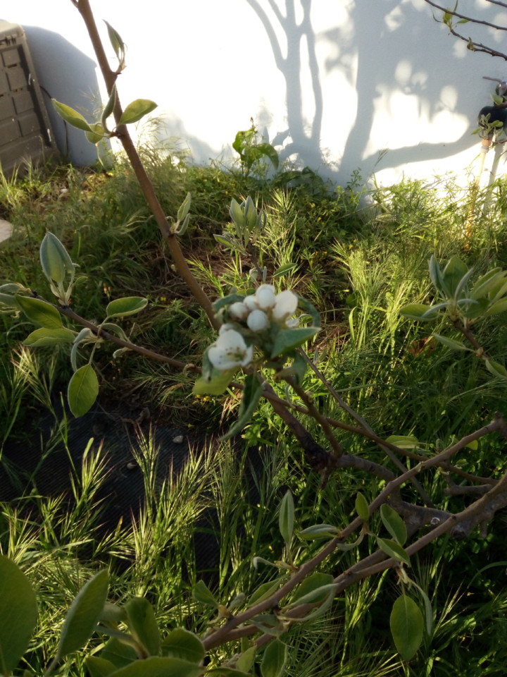 IMG_20180418_191230.jpg IMG_20180418_191230.jpg